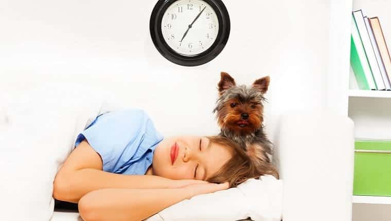 dog alarm clock2
