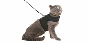best cat harness sm