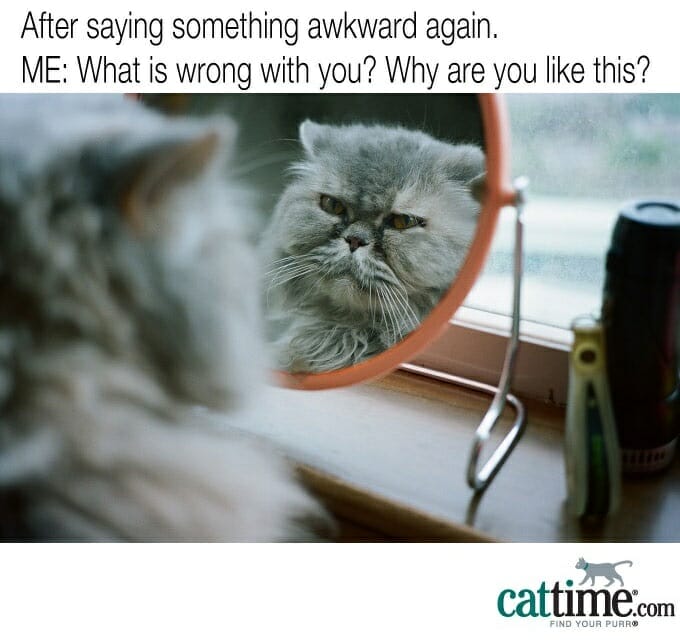 el gato en el espejo