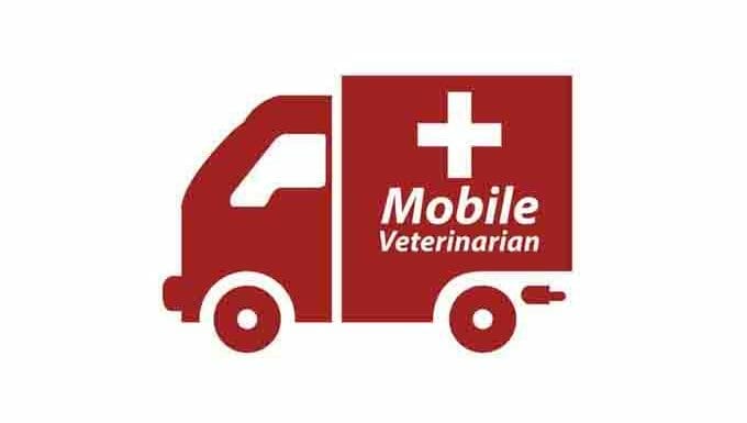 Dibujo de una ambulancia que dice "veterinario móvil"