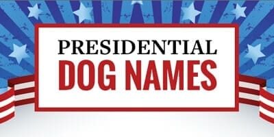 presidential dog names thumb