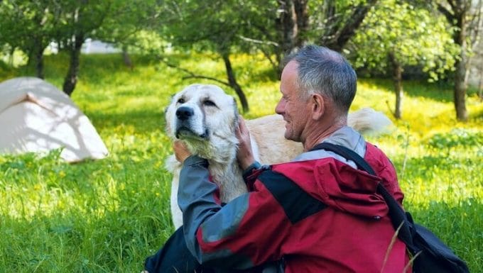Viajero feliz juega con un gran perro pastor al lado de la tienda en un prado en medio de una exuberante hierba, flores de campo y árboles de hoja perenne en un maravilloso día soleado.  Viaja en las montañas de primavera.