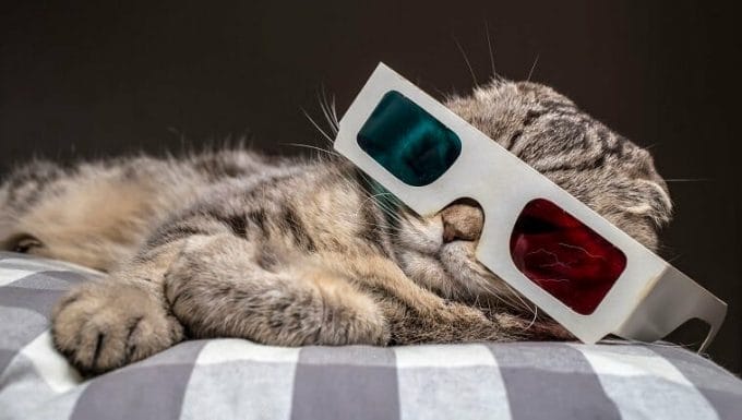 Gracioso gato scottish fold viendo una película en la televisión con gafas 3D acostado sobre una almohada en el sofá.