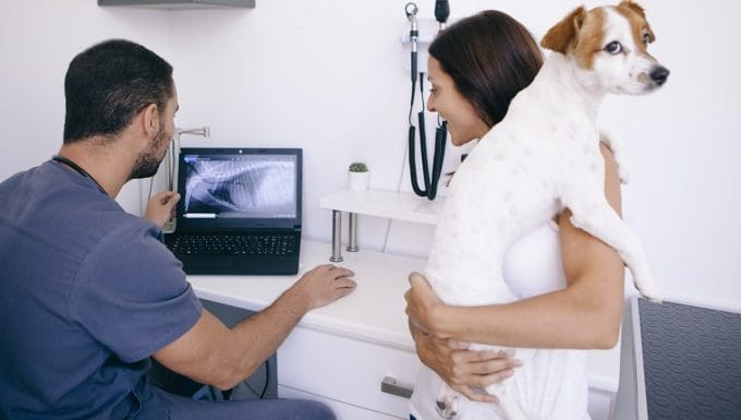 Dueño de mascota preocupado escuchando resultados de rayos X