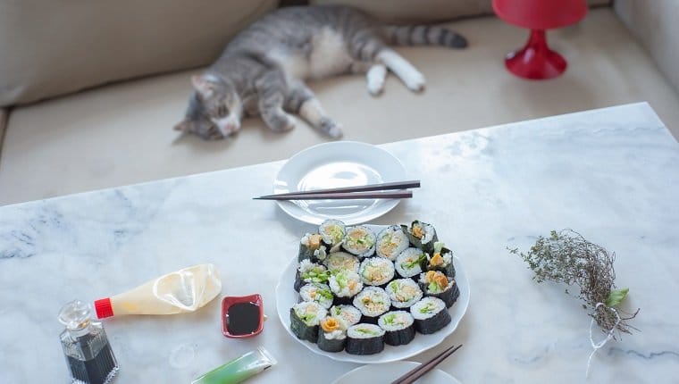can cats eat seaweed 1