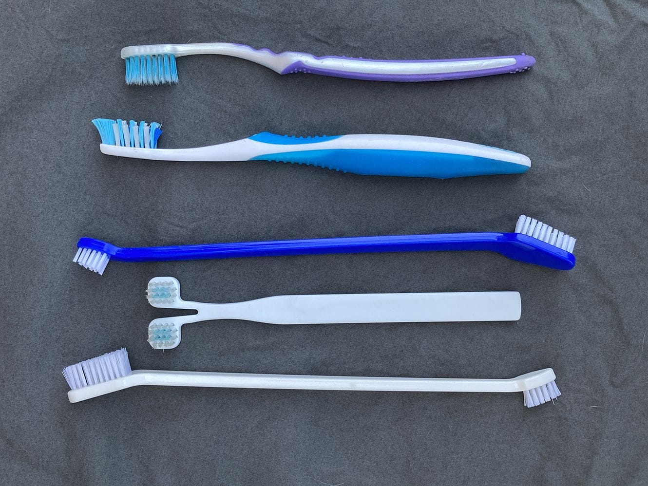 toothbrushes 1.jpg.optimal