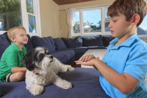 Niños con discapacidad auditiva haciendo señas para mascotas en el lenguaje de señas estadounidense en su sofá